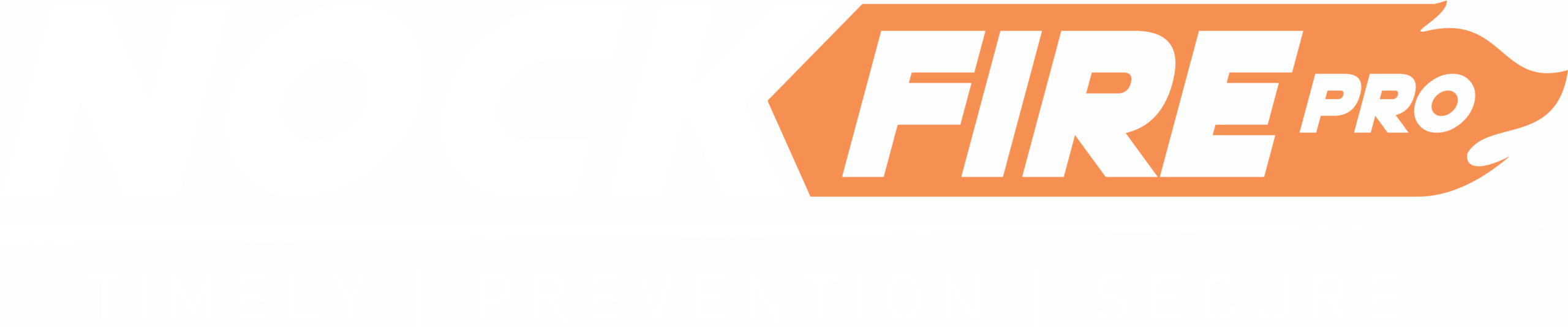 Copy of NFP-White-Orange@2x-8